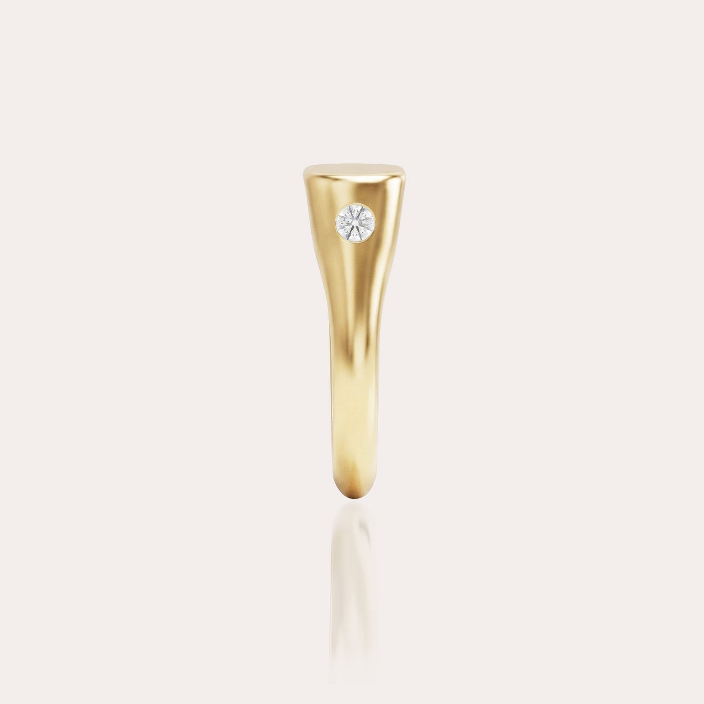 The Signet by Tess